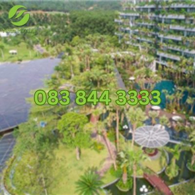 ứng dụng của vỉ nhựa thoát nước